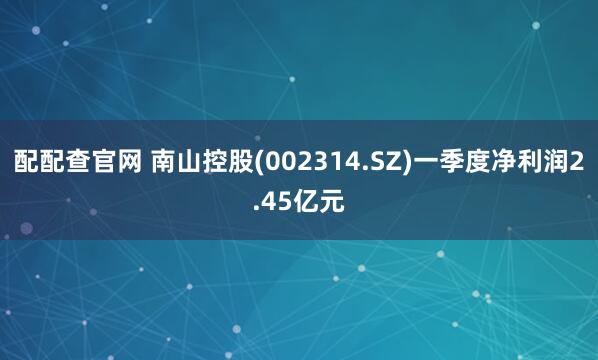 配配查官网 南山控股(002314.SZ)一季度净利润2.45亿元