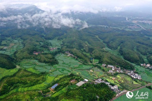 配资在线 江西广昌：千亩莲池绘就夏日画卷