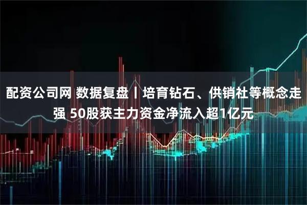 配资公司网 数据复盘丨培育钻石、供销社等概念走强 50股获主力资金净流入超1亿元